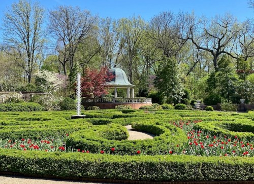 A lush garden with neatly trimmed hedges, colorful tulips, and a gazebo surrounded by trees under a clear blue sky.