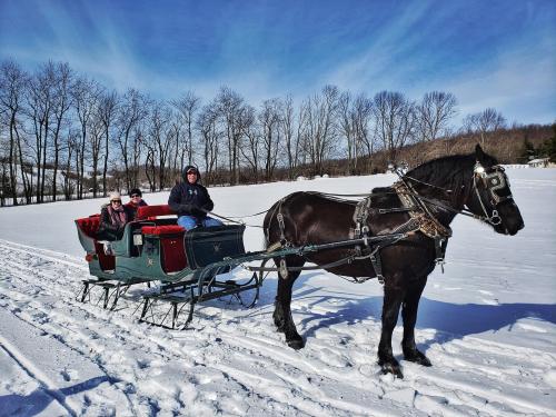 A horse-drawn sleigh with two passengers travels through a snowy landscape under a clear blue sky.