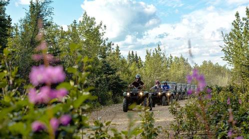 Two people riding ATVs on a dirt path surrounded by greenery and wildflowers under a blue sky.
