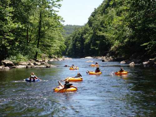 A group of people floating on orange inner tubes down a calm river, surrounded by lush green trees.