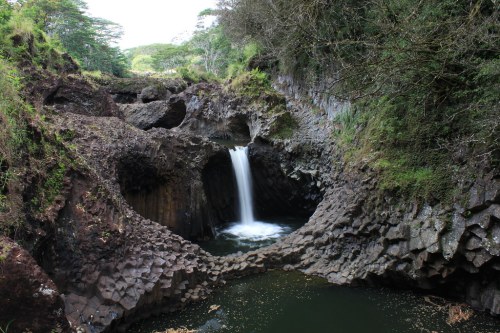 A serene waterfall cascades into a rocky pool, surrounded by lush greenery and unique rock formations.