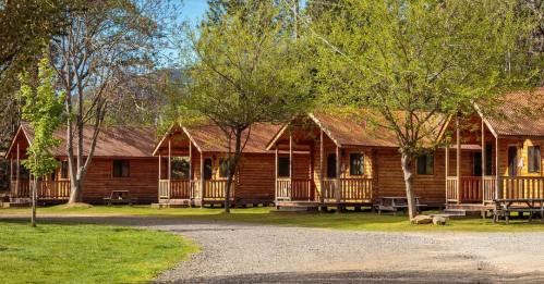 A row of wooden cabins surrounded by trees and greenery, with a gravel path in front.
