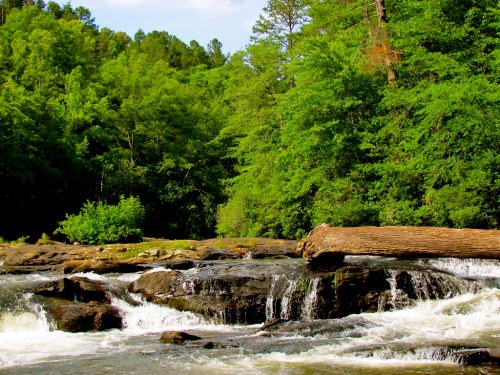 A serene river flows over rocks, surrounded by lush green trees and a fallen log in a peaceful natural setting.