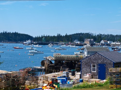 A scenic harbor with boats, a wooden dock, and a blue shed, surrounded by trees and distant buildings under a clear sky.