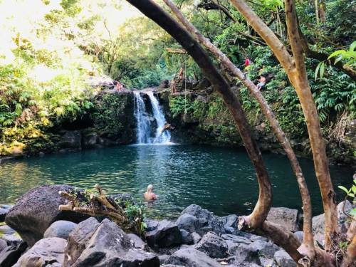 A serene waterfall cascades into a clear pool surrounded by lush greenery and rocky terrain. People enjoy the natural setting.