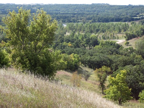 A scenic view of rolling hills and lush greenery, with trees and a winding path in the distance under a clear sky.
