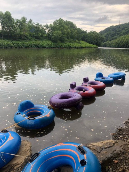 Colorful inner tubes lined up along a calm riverbank, surrounded by lush green trees and a cloudy sky.