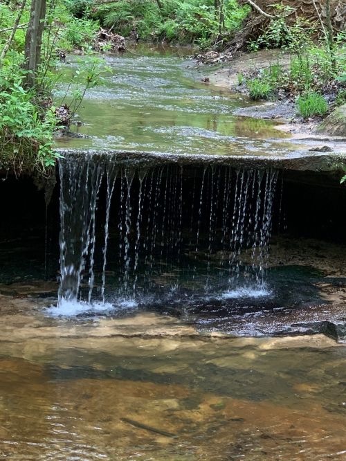 A serene stream flows over rocks, with gentle waterfalls surrounded by lush greenery and trees.