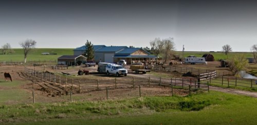 A rural farm scene featuring a house, barn, vehicles, and grazing cattle in a green landscape.
