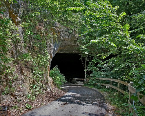 A winding path leads to a dark cave entrance, surrounded by lush greenery and trees.