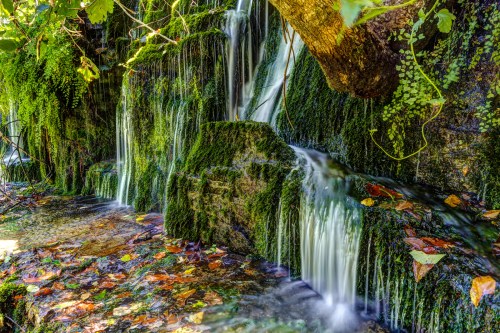 A serene waterfall cascading over moss-covered rocks, surrounded by lush greenery and fallen leaves.