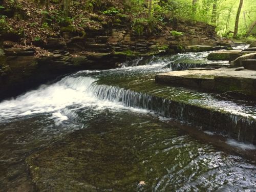 A serene stream flows over rocky steps, surrounded by lush green foliage in a peaceful forest setting.