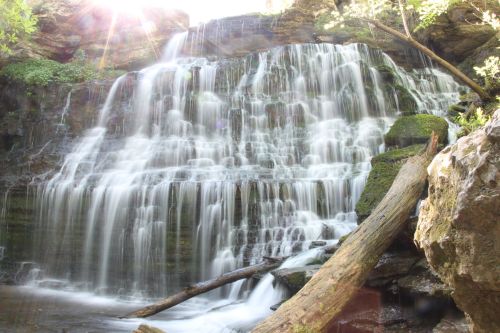 A serene waterfall cascading over rocks, surrounded by lush greenery and fallen logs. Sunlight filters through the trees.