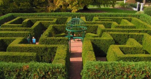 Aerial view of a green hedge maze with a gazebo at the center and two people exploring the paths.