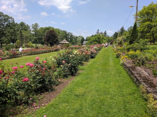 A lush garden path lined with colorful roses, leading to a gazebo under a blue sky with scattered clouds.