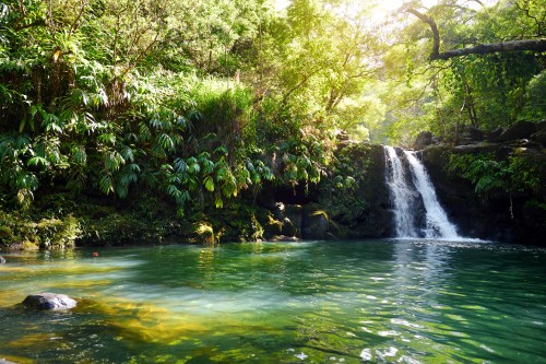 A serene waterfall cascades into a clear pool, surrounded by lush green foliage and sunlight filtering through the trees.