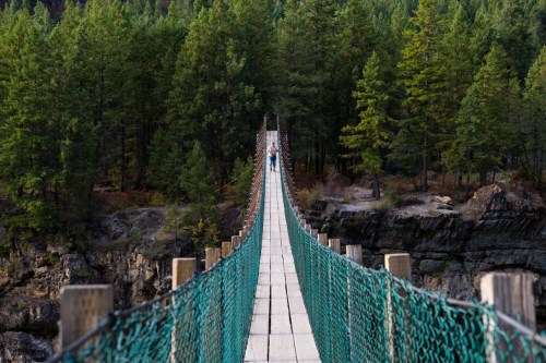 A suspension bridge stretches over a rocky gorge, surrounded by tall green trees and a clear blue sky.