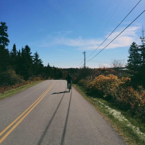A person riding a bicycle down a quiet road surrounded by trees and colorful foliage under a clear blue sky.