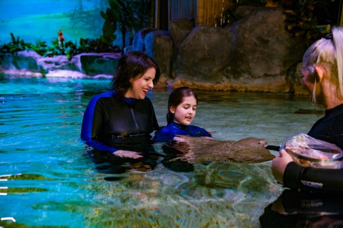 Two women and a girl interact with a stingray in a shallow pool, surrounded by lush greenery and colorful lighting.