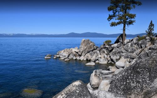 A serene lakeside scene with clear blue water, rocky shore, and a lone tree against a backdrop of distant mountains.