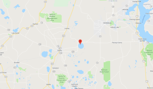 Map showing a location marked with a red pin near Lake Butler, Florida, surrounded by green areas and roads.
