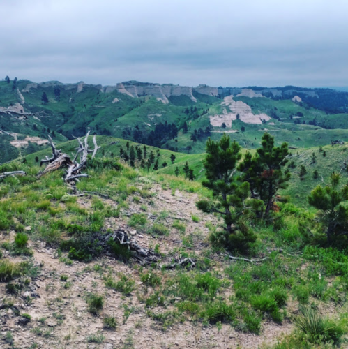 A scenic view of rolling green hills and rocky formations under a cloudy sky, with scattered trees and fallen logs.
