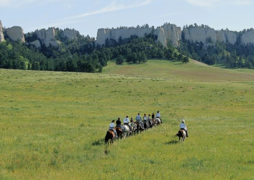 A group of horseback riders traverses a grassy field with rocky cliffs in the background under a clear blue sky.