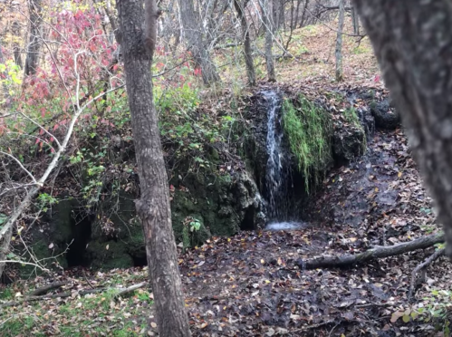 A small waterfall cascades over mossy rocks in a wooded area, surrounded by autumn foliage and fallen leaves.