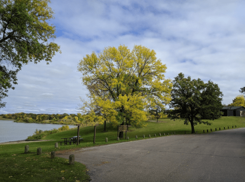 A serene park scene with a winding road, vibrant yellow trees, and a calm lake under a cloudy sky.