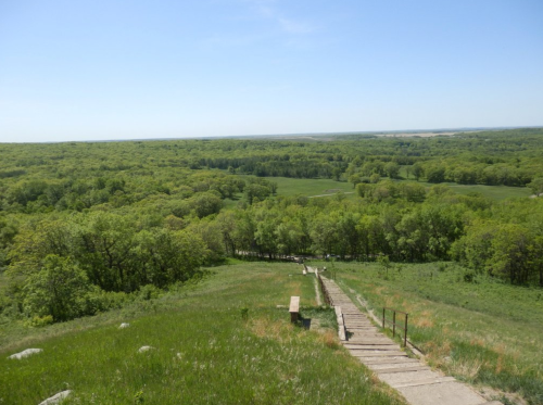 A scenic view from a hilltop overlooking lush green forests and a winding path leading down. Clear blue sky above.