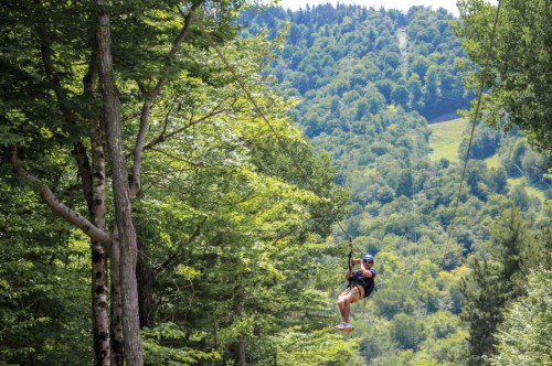 A person zip-lining through a lush green forest with hills in the background.