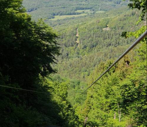 A zip line stretches over a lush green forest valley, showcasing trees and rolling hills in the background.