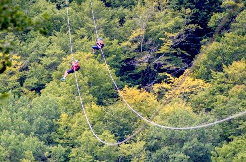 Two people ziplining through a lush green forest with vibrant autumn foliage in the background.