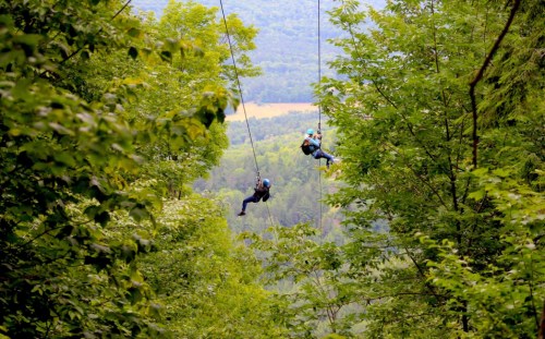 Two people ziplining through a lush green forest with mountains in the background.