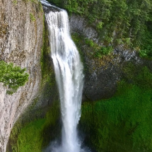 A stunning waterfall cascading down a rocky cliff, surrounded by lush green foliage.
