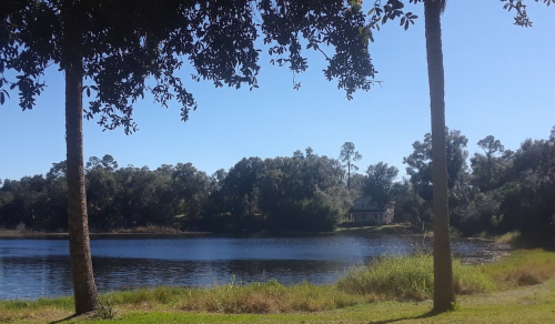 A serene lake view framed by trees, with a house visible in the background under a clear blue sky.