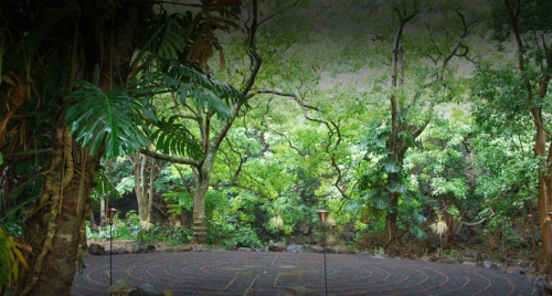 A serene outdoor labyrinth surrounded by lush greenery and trees, creating a peaceful natural setting.