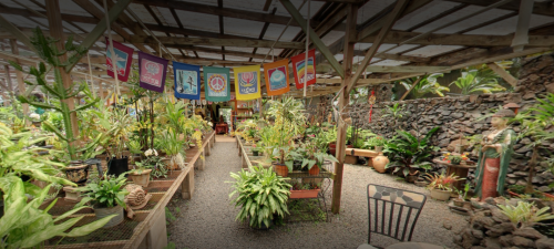 A vibrant garden with lush plants, colorful banners hanging overhead, and a rustic wooden structure.