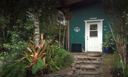 A charming green house entrance surrounded by lush plants and a stone pathway leading to a white door.