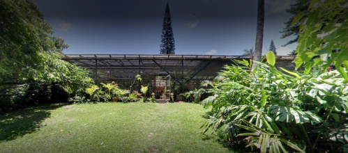 Lush garden with tropical plants and a greenhouse structure in the background under a clear blue sky.