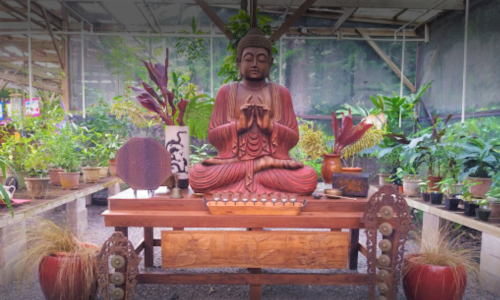 A wooden Buddha statue sits on a table surrounded by various plants in a greenhouse setting.