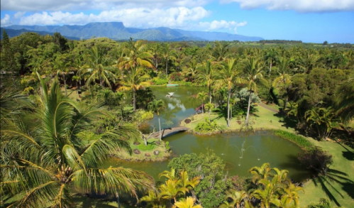 Lush tropical landscape with palm trees, a serene pond, and mountains in the background under a blue sky.