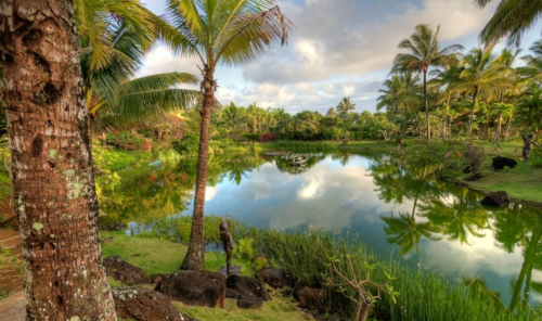 Lush tropical landscape with palm trees, a serene pond reflecting the sky, and vibrant greenery all around.