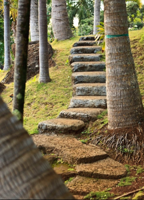 A winding stone pathway leads up a grassy slope, flanked by palm trees.