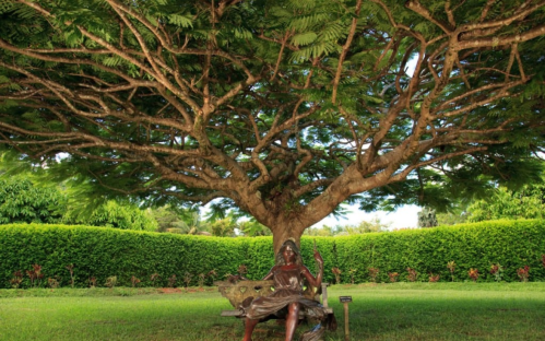 A large tree with a sprawling canopy shades a bronze statue of a seated woman on a bench in a lush garden.