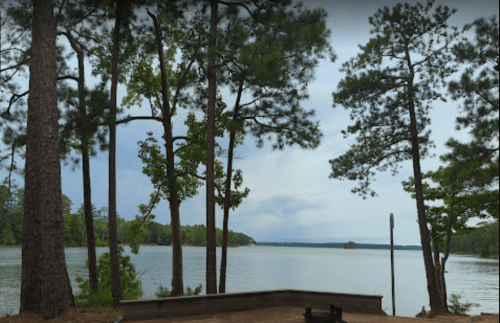 A serene lake view surrounded by tall pine trees under a cloudy sky.
