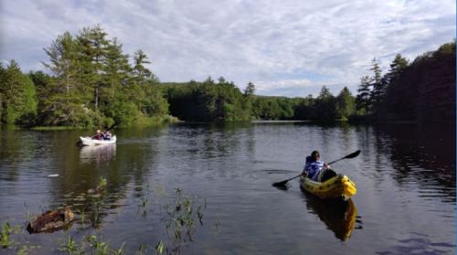 Two kayakers paddle on a calm lake surrounded by trees under a partly cloudy sky.