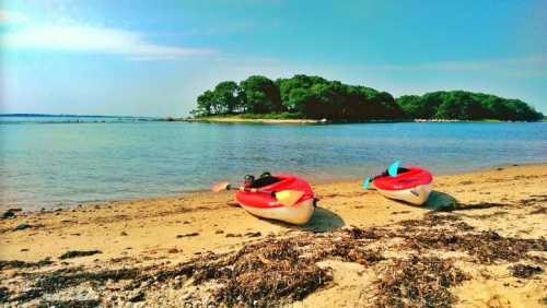 Two red kayaks on a sandy beach by a calm, blue water with green trees in the background under a clear sky.