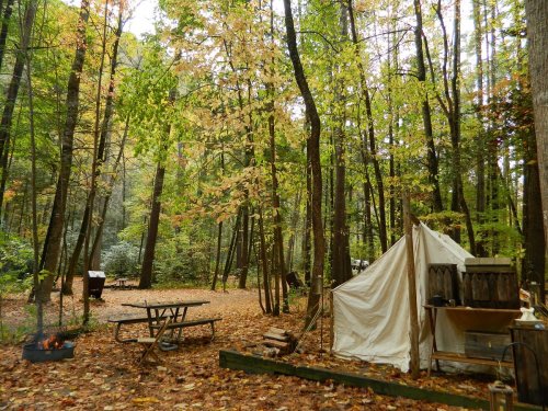 A serene forest campsite with a white tent, picnic table, and autumn leaves scattered on the ground.