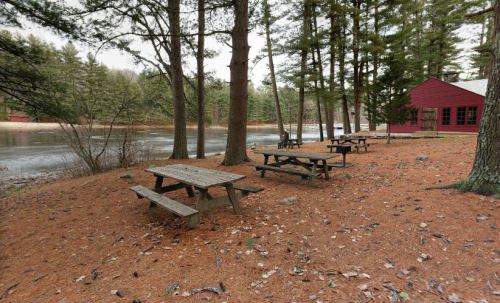 A serene lakeside scene with picnic tables surrounded by pine trees and a red cabin in the background.